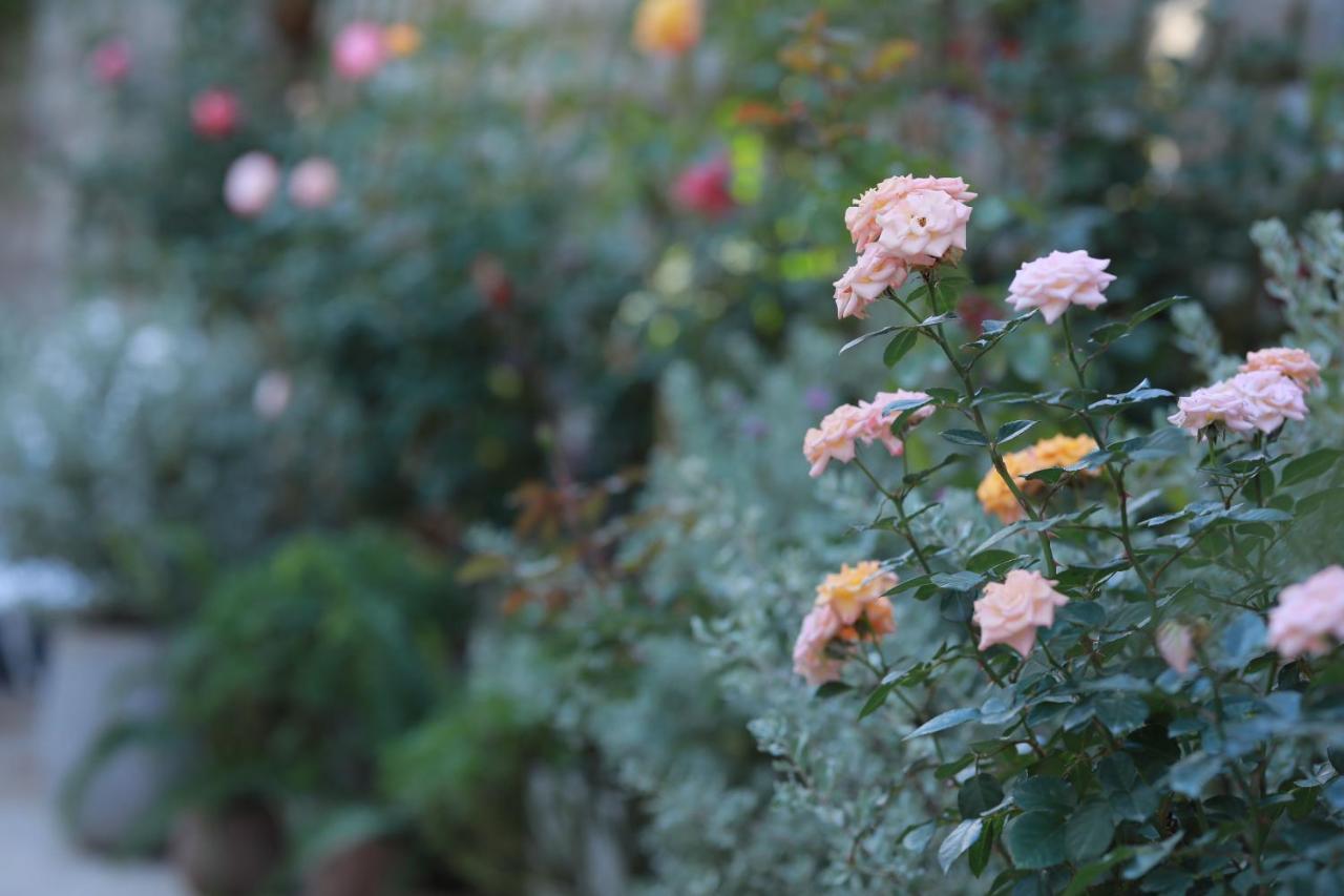 La Vie En Rose 2 Hotel Da Lat Kültér fotó